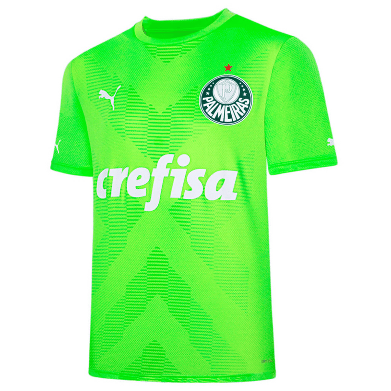 Camisa Palmeiras Goleiro  23/24 - Puma Torcedor Masculina