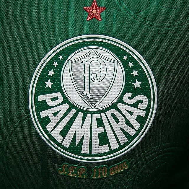 Camisa Palmeiras I 24/25 Masculino - [Lançamento🛑]